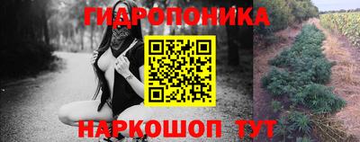 шишки Краснодар